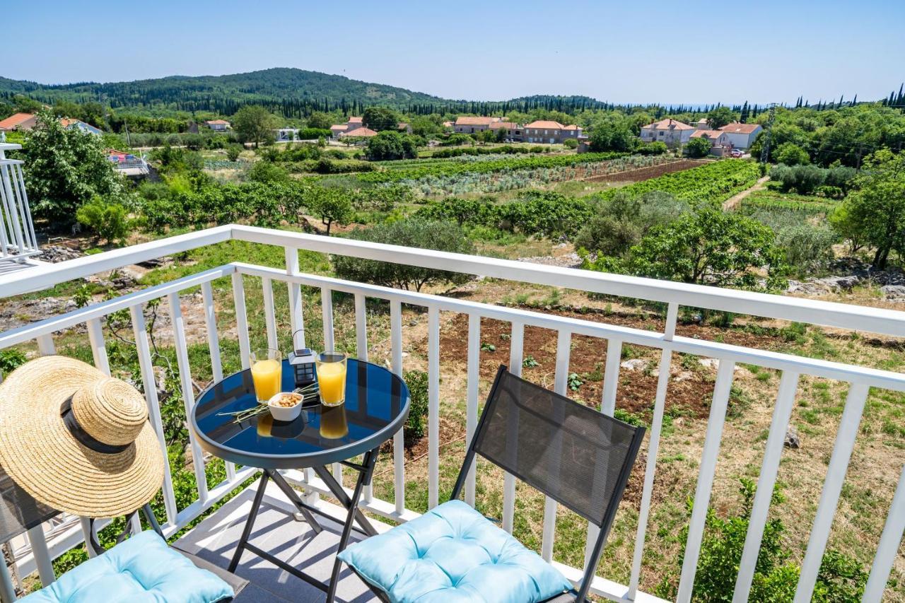 Apartments Amalija Čilipi エクステリア 写真