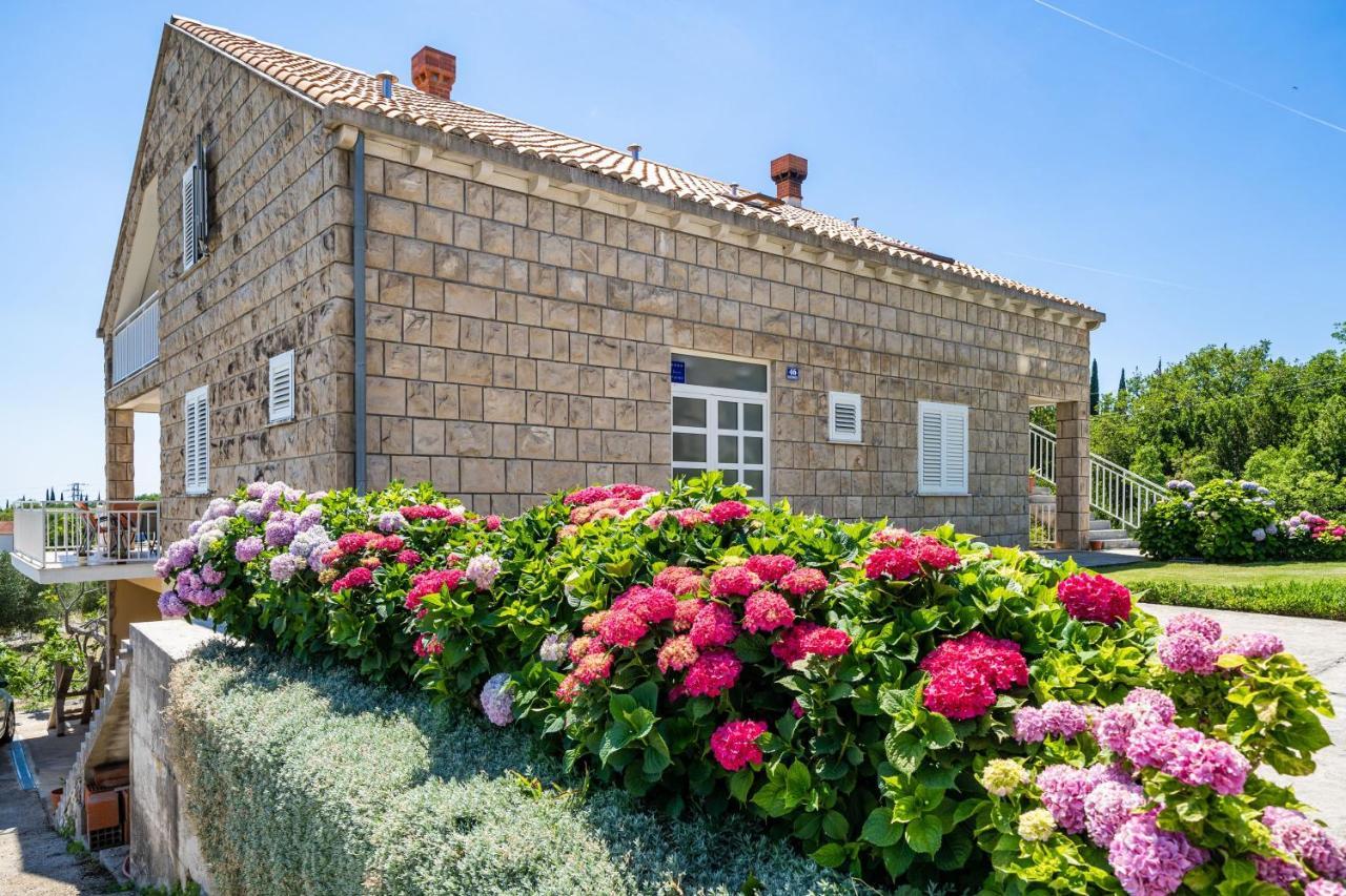 Apartments Amalija Čilipi エクステリア 写真